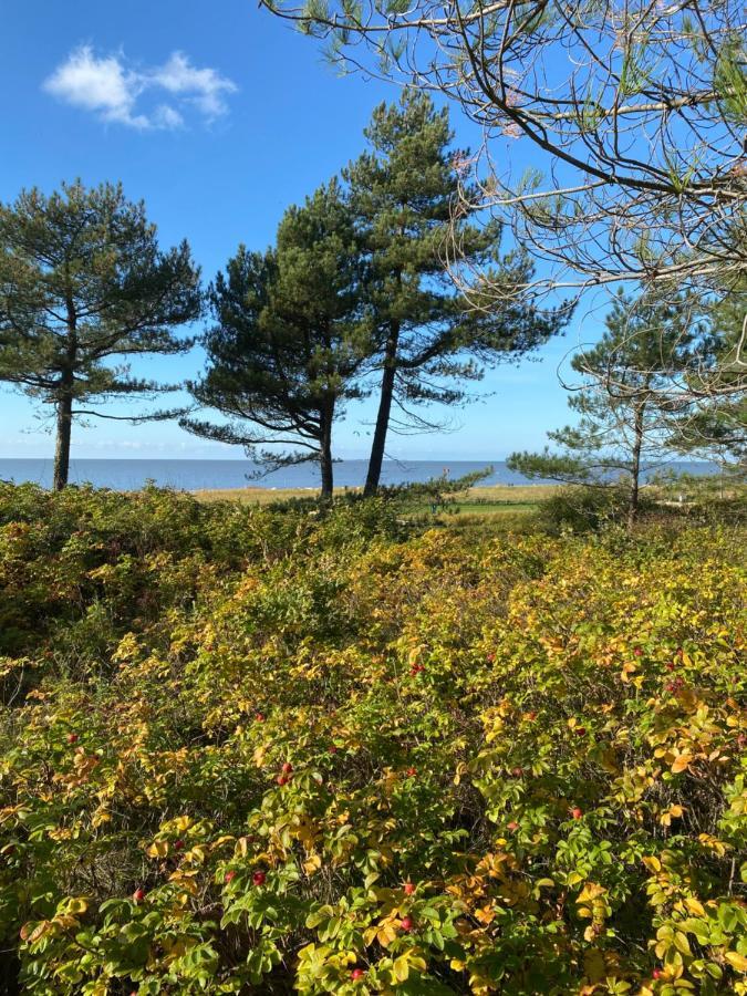Altes Pastorenhus - Land Und Meer Osterbruch Экстерьер фото