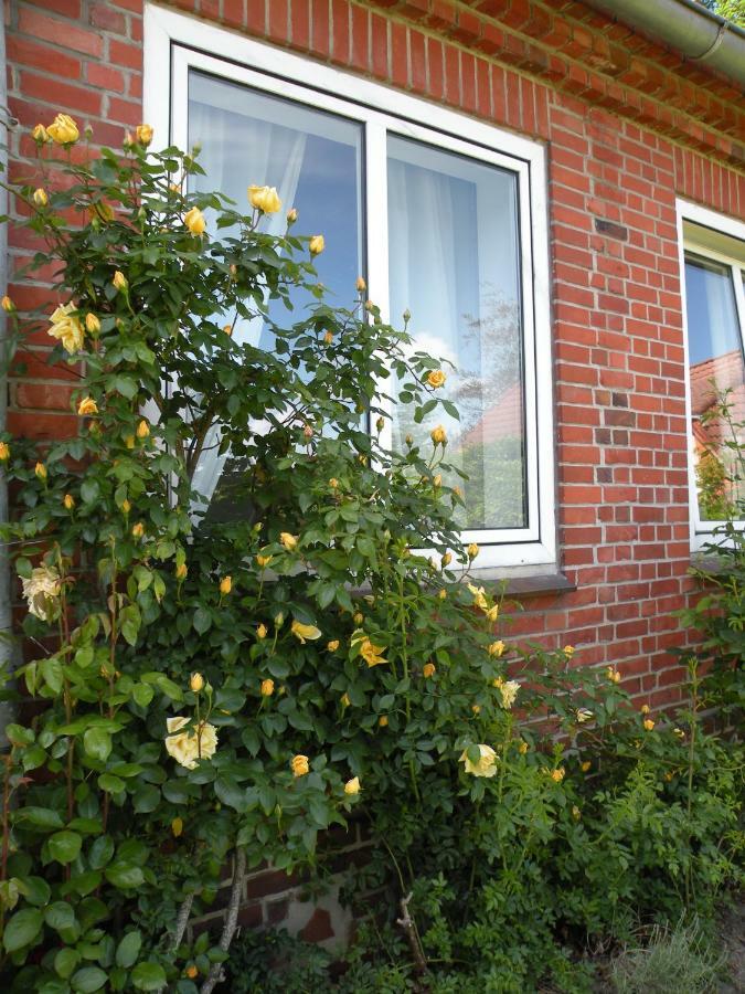 Altes Pastorenhus - Land Und Meer Osterbruch Экстерьер фото